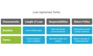 broodmare loans in the UK last between one and three years